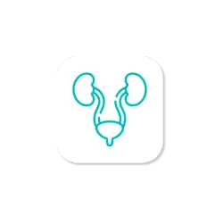 Kidney Diseases